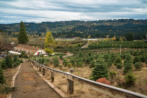 Sleighbells Farm Gift 23855 Sw 195th Pl Sherwood Or