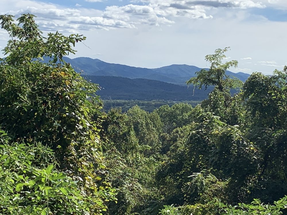 MINT SPRINGS VALLEY PARK 11 Photos 6659 Mint Springs Park Rd