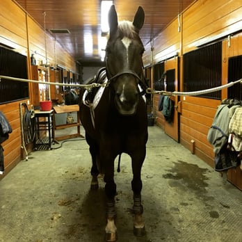 Long Grove Farms - Horse Boarding Near Me - Kildeer, Illinois Long Grove Farms - Horse Boarding Near Me - Kildeer, Illinois