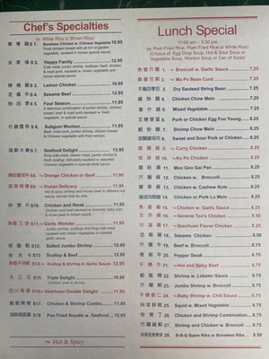 Taste of China by null