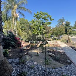 a view of the front yard