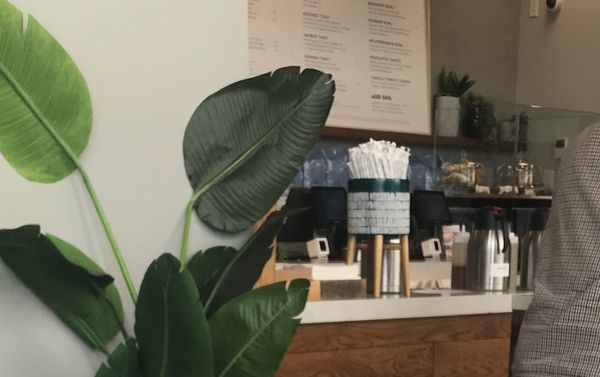 Bluestone Lane Dupont Circle Coffee Shop by null