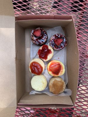 The Celia Jacobs Cheesecake Experience by null