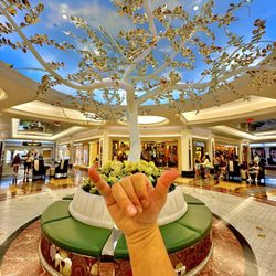 The Wishing Tree