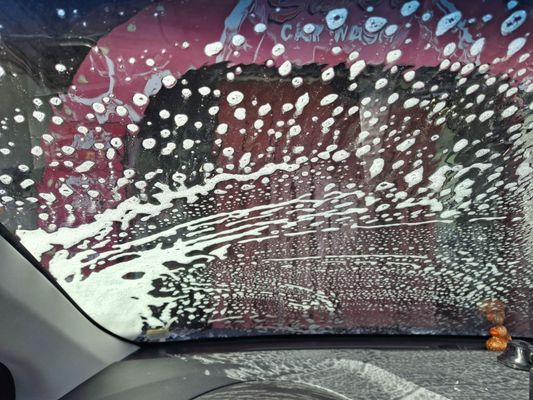 Elephant Car Wash by null