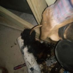 Dave And Joe’s Plumbing