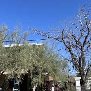 The Hood Arborists - Pruning - Tree Services Near Me The Hood Arborists - Pruning - Tree Services Near Me
