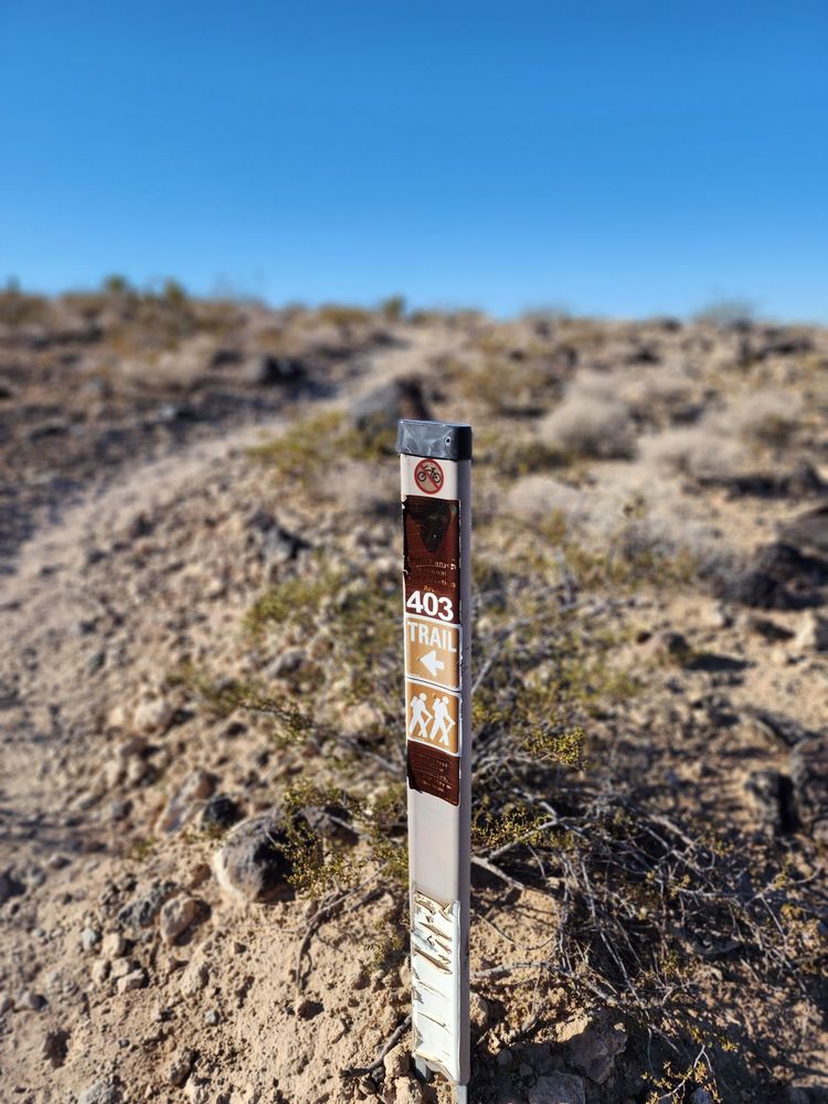 Park Peak Trail 403 Logo