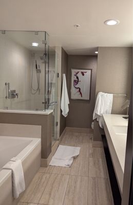 JW Marriott Minneapolis Mall of America by null