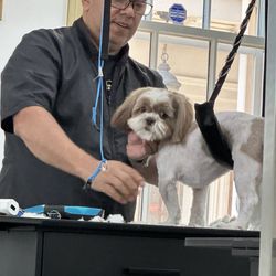 Villa Pet Grooming
