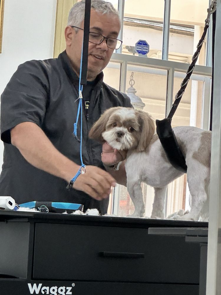 Villa Pet Grooming Image