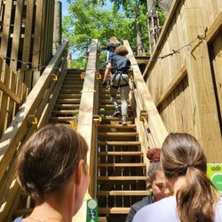 Go Ape - Stairs to the top