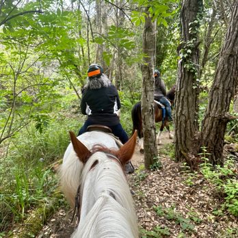 RICOCHET RIDGE RANCH - Updated January 2026 - 172 Photos & 182 Reviews ...