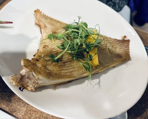 Magpie Café by null