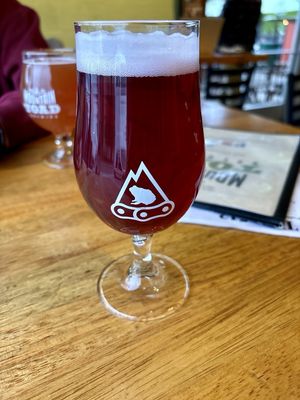 Mountain Toad Brewing by null