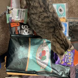 Self Serve Pet Spa - Marge checking out all the swag. The worker hooked her up with