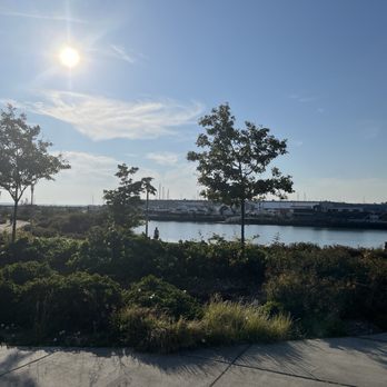 Waypoint Park - Parks Near Me - Bellingham, Washington