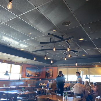 Outback Steakhouse - Inside the place as basically bare at noon on a Friday because the The food is inferior such poor quality steaks and terrible service - Steakhouses Near Me - Gonzales, Louisiana Outback Steakhouse - Inside the place as basically bare at noon on a Friday because the The food is inferior such poor quality steaks and terrible service - Steakhouses Near Me - Gonzales, Louisiana
