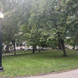 Boston's Back Bay
