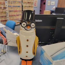 South Country Opticians