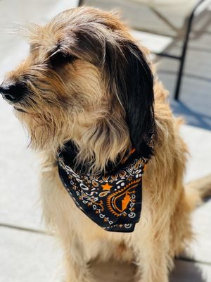 Love, Tito's by null