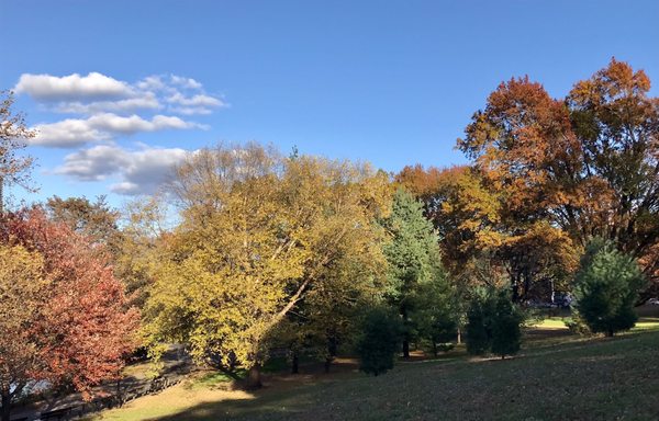 Inwood Hill Park by null