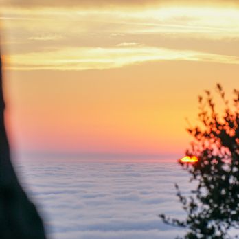 Nepenthe - Nepenthe Sunset - New American Near Me - Big Sur, California