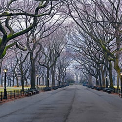 LIK Fine Art - Peter Lik - Sunday 5:47