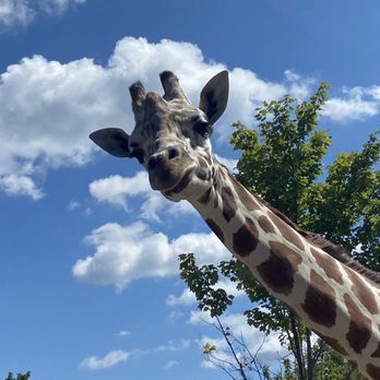 The Preserve - Petting Zoos Near Me - Harpursville, New York