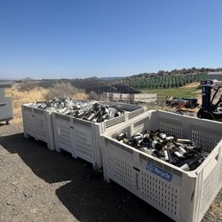 Wilridge Vineyard, Winery & Distillery - trash