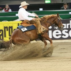 LA Reining Horses