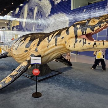 Oceanário de Lisboa - Prehistoric Sea Monster - Aquariums Near Me - Lisbon, 11 Oceanário de Lisboa - Prehistoric Sea Monster - Aquariums Near Me - Lisbon, 11