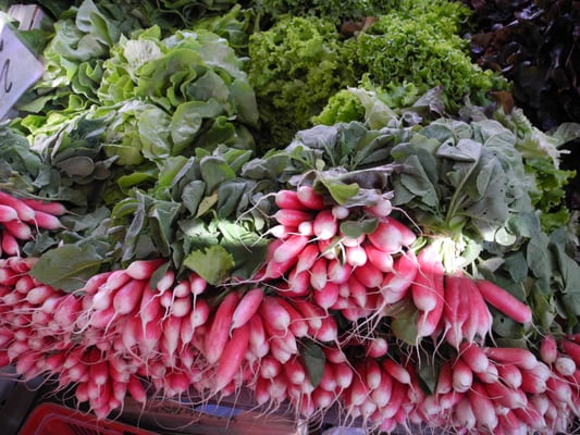 Place des Lices by null