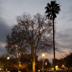 Santa Susana Plaza - Gorgeous sunset.