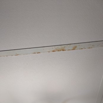 Black Bear Inn, Ascend Hotel Collection - Rusty ceiling tiles - Hotels Near Me - Orono, Maine Black Bear Inn, Ascend Hotel Collection - Rusty ceiling tiles - Hotels Near Me - Orono, Maine