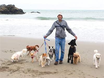 Little Buddhas Dog Walking & Pet Sitting - pet boarding facility in San Francisco, CA