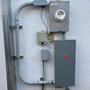 Photo of Running Bird Electric