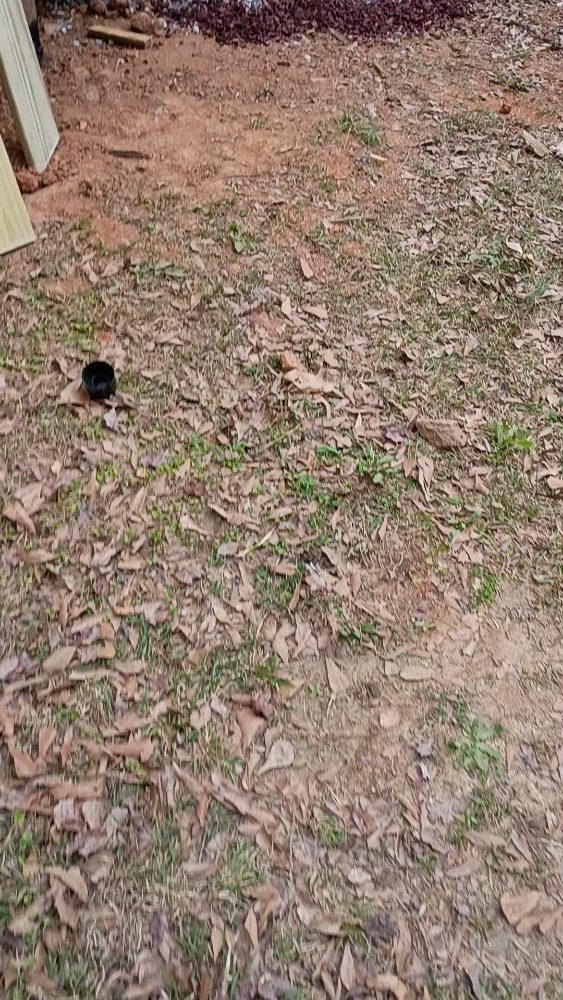 Slide of Three Star Reno DBA