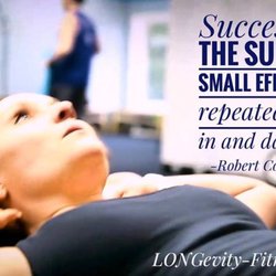 LONGevity Fitness - Success is the sum of small efforts repeated day in and day out.