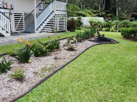 Aloha Junction Bed and Breakfast by null