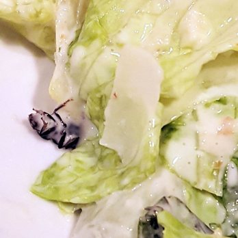 Red Lobster - Great dinner! Great manager! She said the bugs were normal and didn't apologize! - Seafood Near Me - Downers Grove, Illinois Red Lobster - Great dinner! Great manager! She said the bugs were normal and didn't apologize! - Seafood Near Me - Downers Grove, Illinois