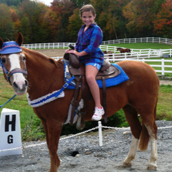 J & J Pony Rental