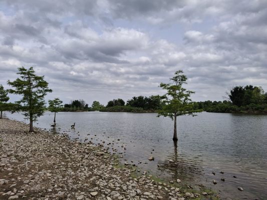 Shelby Farms Park by null