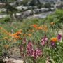 Photo of Edgehill Mountain Park