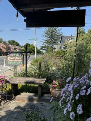 The Peggy, Walther Gardens Century Snowballs & Treats by null