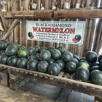 The Black Barn - Watermelon - Fruits & Veggies Near Me - Lebanon, Ohio The Black Barn - Watermelon - Fruits & Veggies Near Me - Lebanon, Ohio