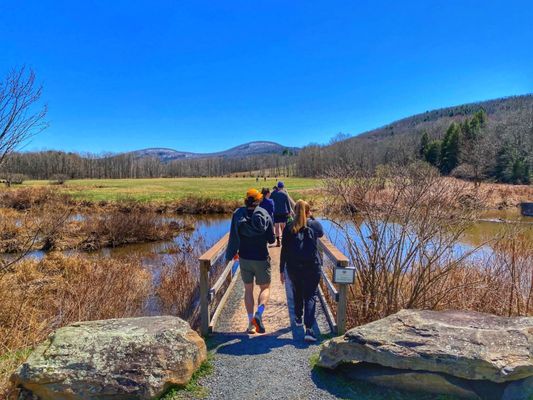 The Windham Path by null