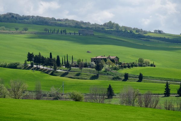 L'Olmo by null