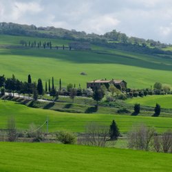 L'olmo - Podere L'Olmo