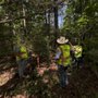 WWJ Surveying + Mapping